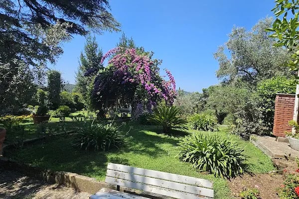 Heybeliada Pazar Meydanı - Resim 7