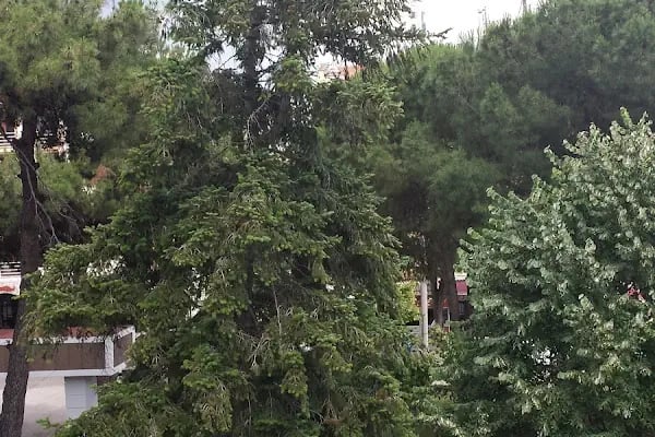 Necatibey Eğitim Fakültesi - Resim 9