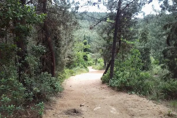Çınarlı Kafe&amp;At Çiftliği - Resim 14