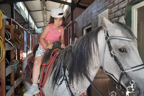 Çınarlı Kafe&amp;At Çiftliği - Resim 18
