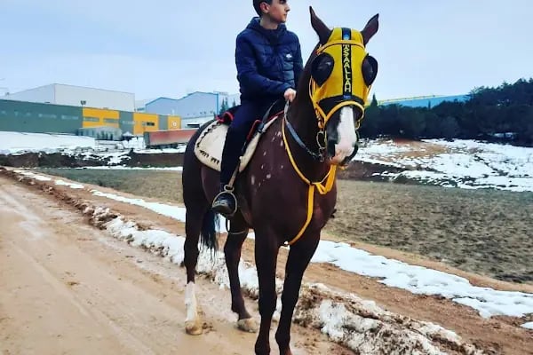 Çınarlı Kafe&amp;At Çiftliği - Resim 11