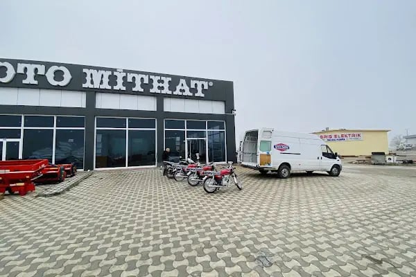 otomithat altınekin - Resim 1