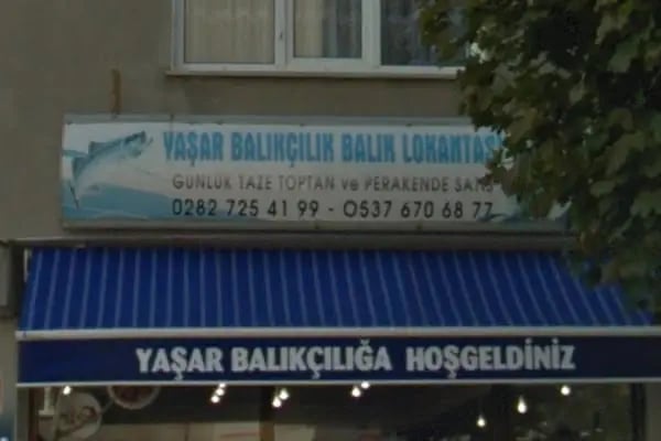 Yaşar Balıkçılık - Resim 15
