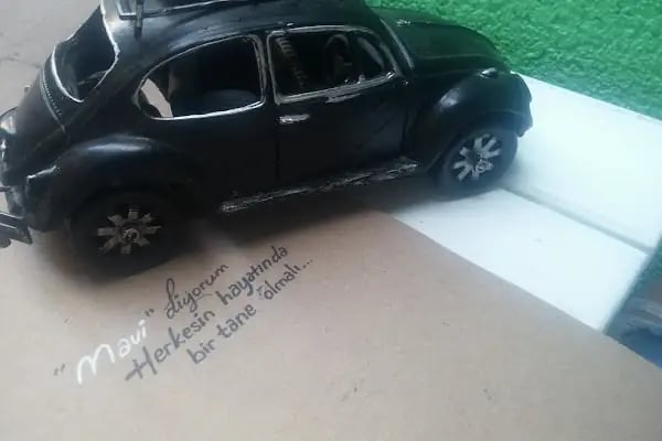 Yaşar Balıkçılık - Resim 14
