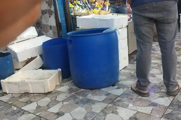 Yaşar Balıkçılık - Resim 11