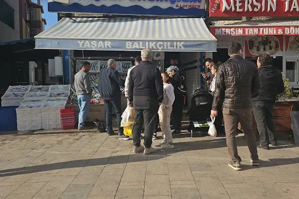 Yaşar Balıkçılık - Resim 10