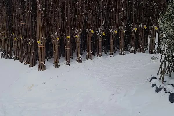 İlçe Otogarı Taksi - Resim 8