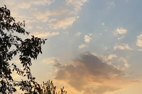 NaturaBungalows - Resim 8
