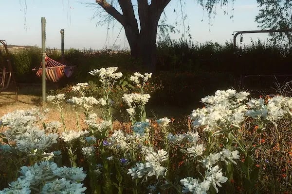NaturaBungalows - Resim 18