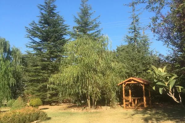 NaturaBungalows - Resim 5