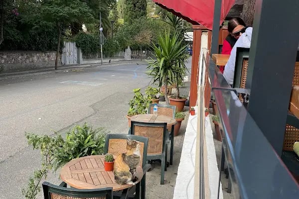 Nizam Butik Otel Büyükada - Resim 7