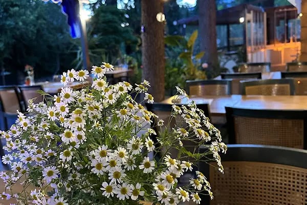 Nizam Butik Otel Büyükada - Resim 5