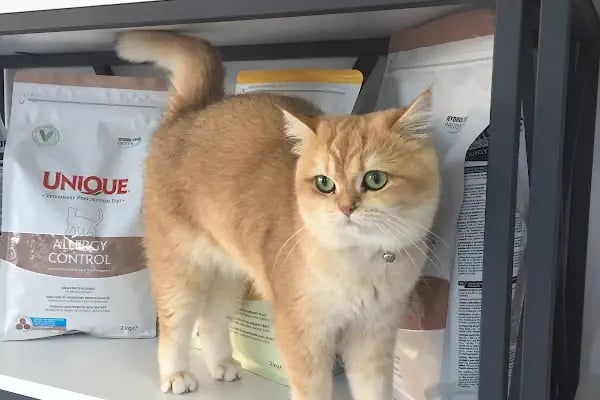 Çiğli VetS Veteriner Kliniği - Resim 17