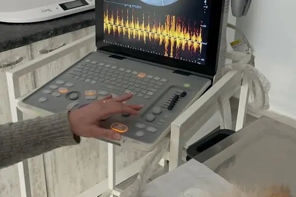 Çiğli VetS Veteriner Kliniği - Resim 12