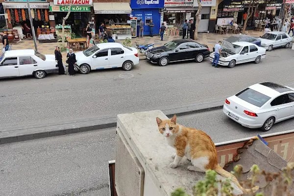 Urfa Sofrasi - Resim 7