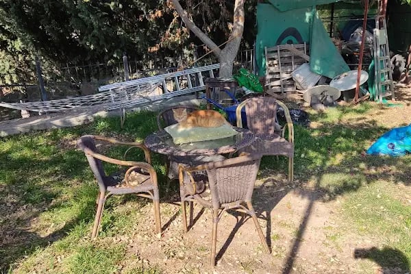 Çukurova Tenis Kortları ve Cafe - Resim 16