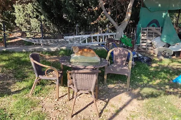 Çukurova Tenis Kortları ve Cafe - Resim 19