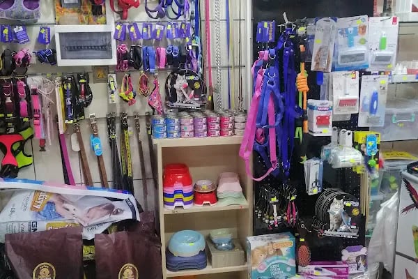 Yaren Petshop - Resim 12