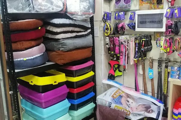 Yaren Petshop - Resim 10