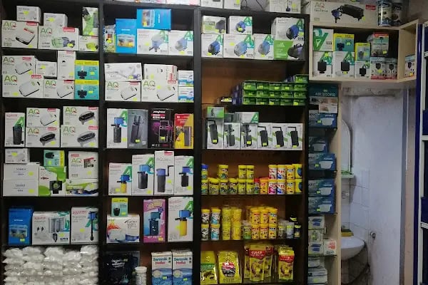 Yaren Petshop - Resim 6