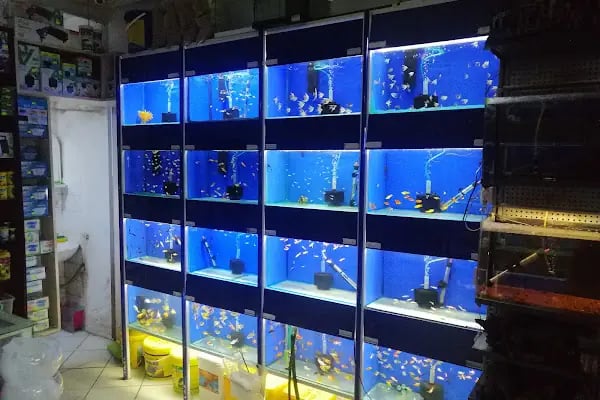 Yaren Petshop - Resim 4