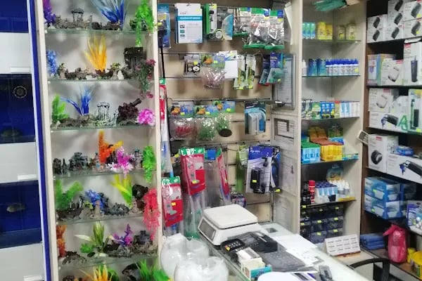 Yaren Petshop - Resim 7