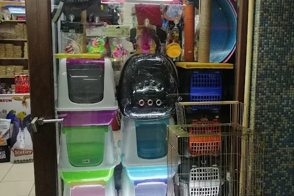 Yaren Petshop - Resim 2