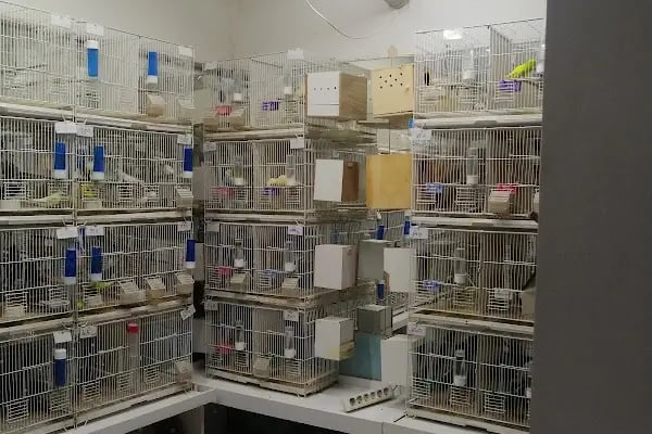 Yaren Petshop - Resim 3