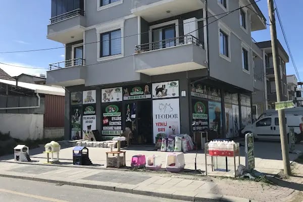Mamacımmm Pet Ürünleri - Resim 17