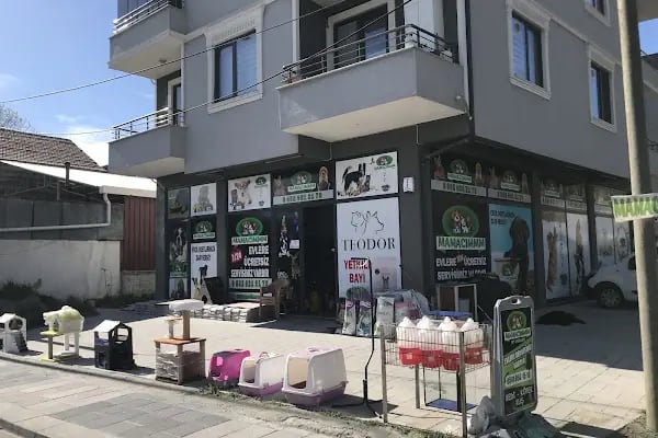 Mamacımmm Pet Ürünleri - Resim 14
