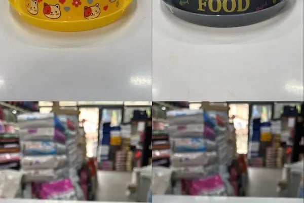 Mamacımmm Pet Ürünleri - Resim 16