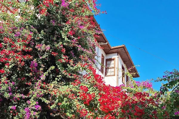 Castle Boutique Hotel - Resim 19