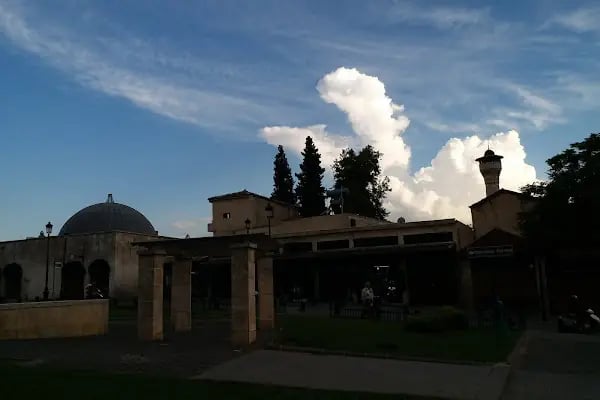 Kalealtı Veteriner Kliniği - Resim 2