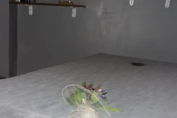 Le Jardin Spa CİNNAH Şube - Resim 6