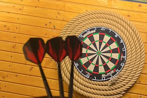 Baracuda Dart Pub - Resim 4