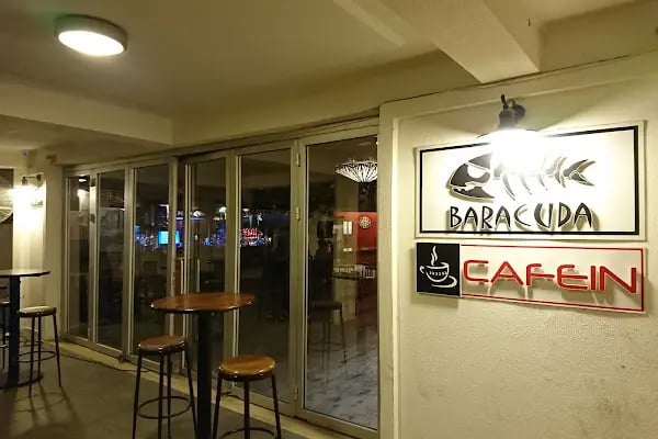 Baracuda Dart Pub - Resim 2