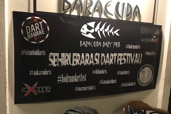 Baracuda Dart Pub - Resim 14