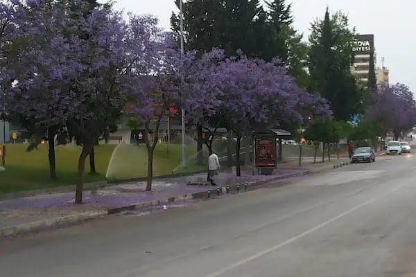 Belediye Parkı - Resim 3