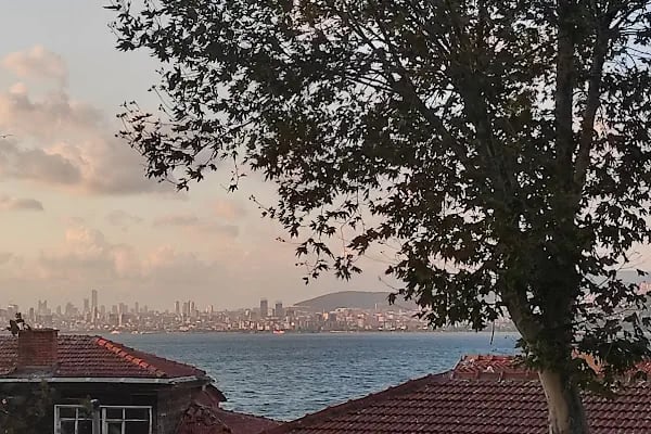 İRİS BUTİK OTEL BÜYÜKADA - Resim 15