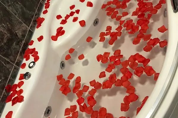 İRİS BUTİK OTEL BÜYÜKADA - Resim 5