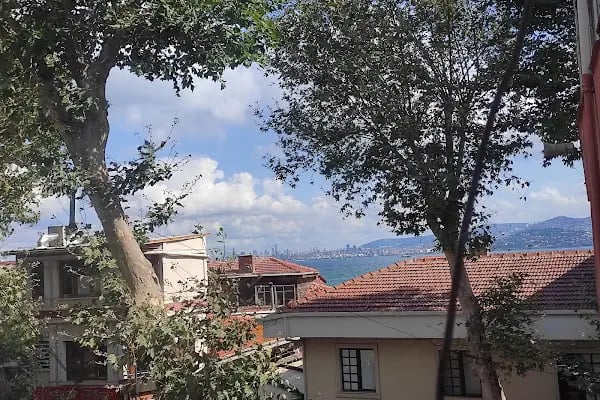 İRİS BUTİK OTEL BÜYÜKADA - Resim 17