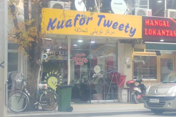 Kuaför Tweety - Resim 5