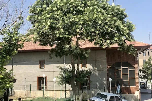 Merkez Ali Paşa Cami - Resim 10
