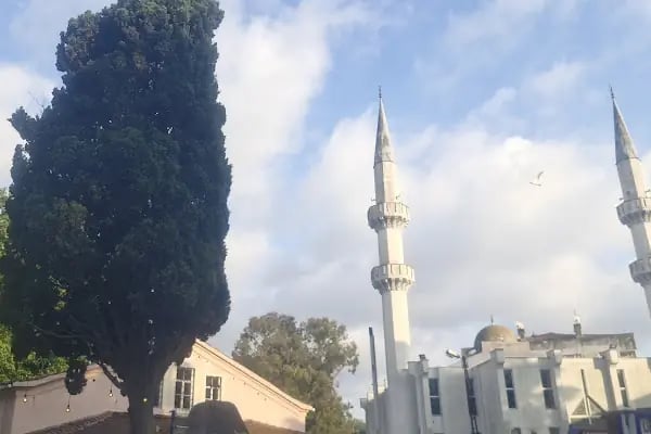 Ayios Yeoryios Rum Ortodoks Kilisesi - Resim 2