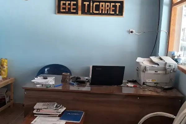 EFE TİCARET - Resim 2
