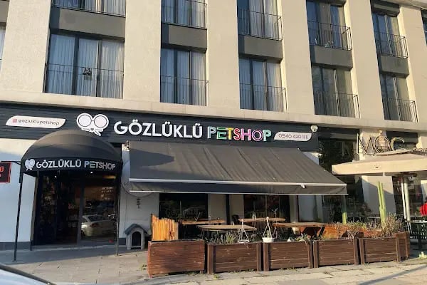 Gözlüklü Petshop - Resim 4