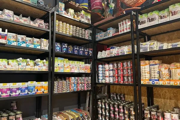 Gözlüklü Petshop - Resim 13