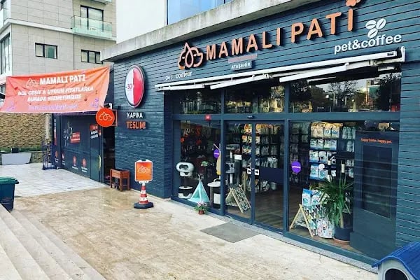 Gözlüklü Petshop - Resim 7