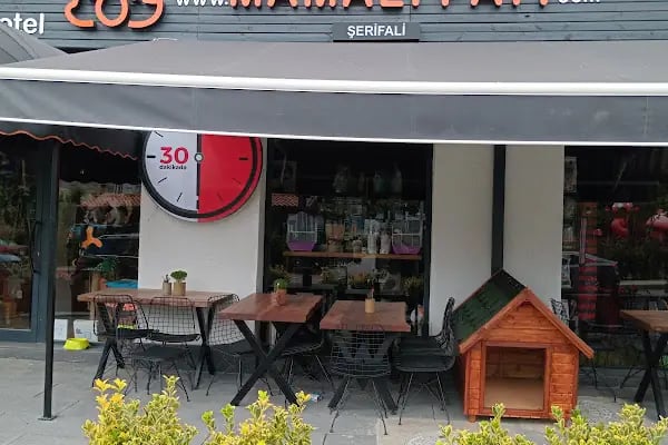 Gözlüklü Petshop - Resim 18
