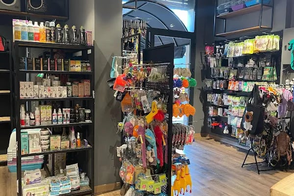Gözlüklü Petshop - Resim 5
